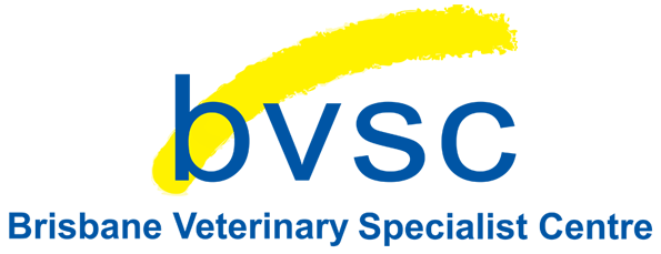 Brisbane Veterinary Specialist Centre (BVSC)