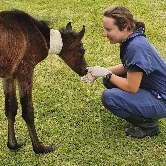Dr. Sarah McLay