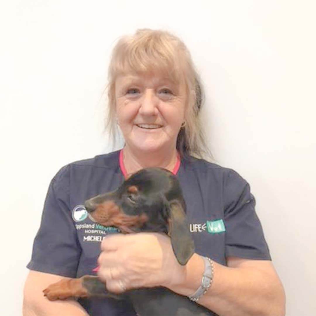 Nurse Photo Happy International Vet Nurses Day