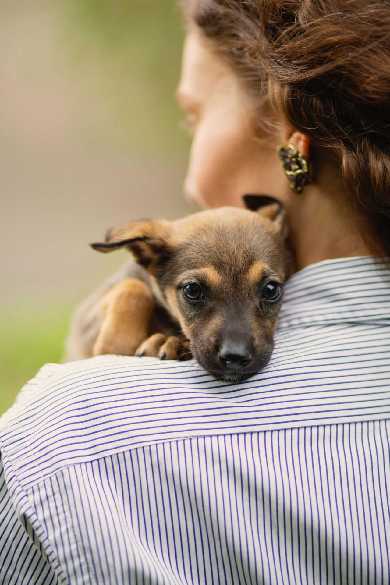 Canine Parvovirus