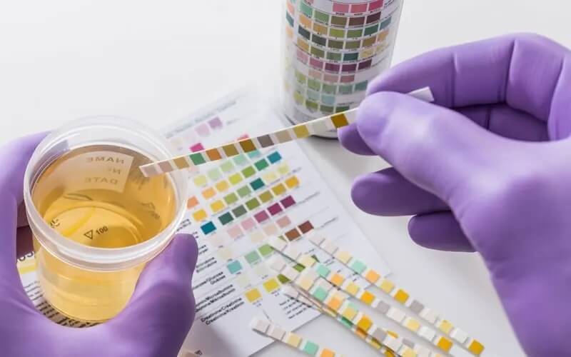 Diagnostics And Custom Vaccines