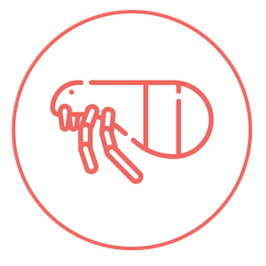 Flea, Tick and Work Prevention Flea, Tick and Work Prevention