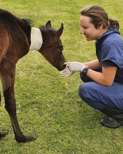 Dr. Sarah McLay